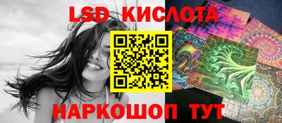 бошки Гатчина